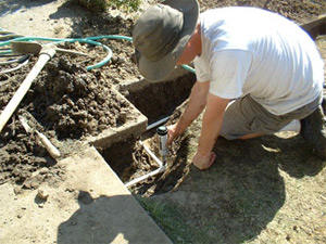 Spring sprinkler repair and installation specialist installs a new Toro pop up head