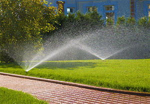 an irrigation system optimized by our Spring sprinkler repair team