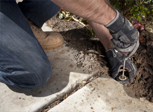 a professional tech is checking a sprinkler head