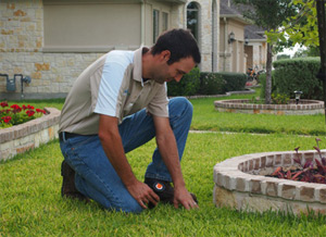 one of our Humble sprinkler repair contractors is preparing to install a new sprinkler head